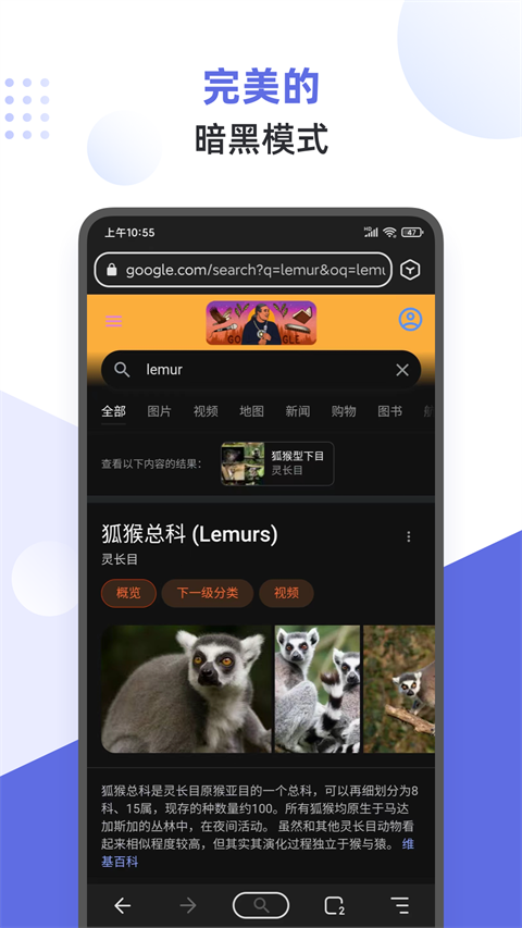 appٷ(Lemur Browser)